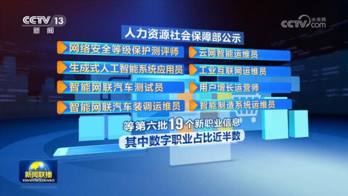 新賽道開辟就業(yè)新空間 社會經濟咨詢服務的崛起與未來